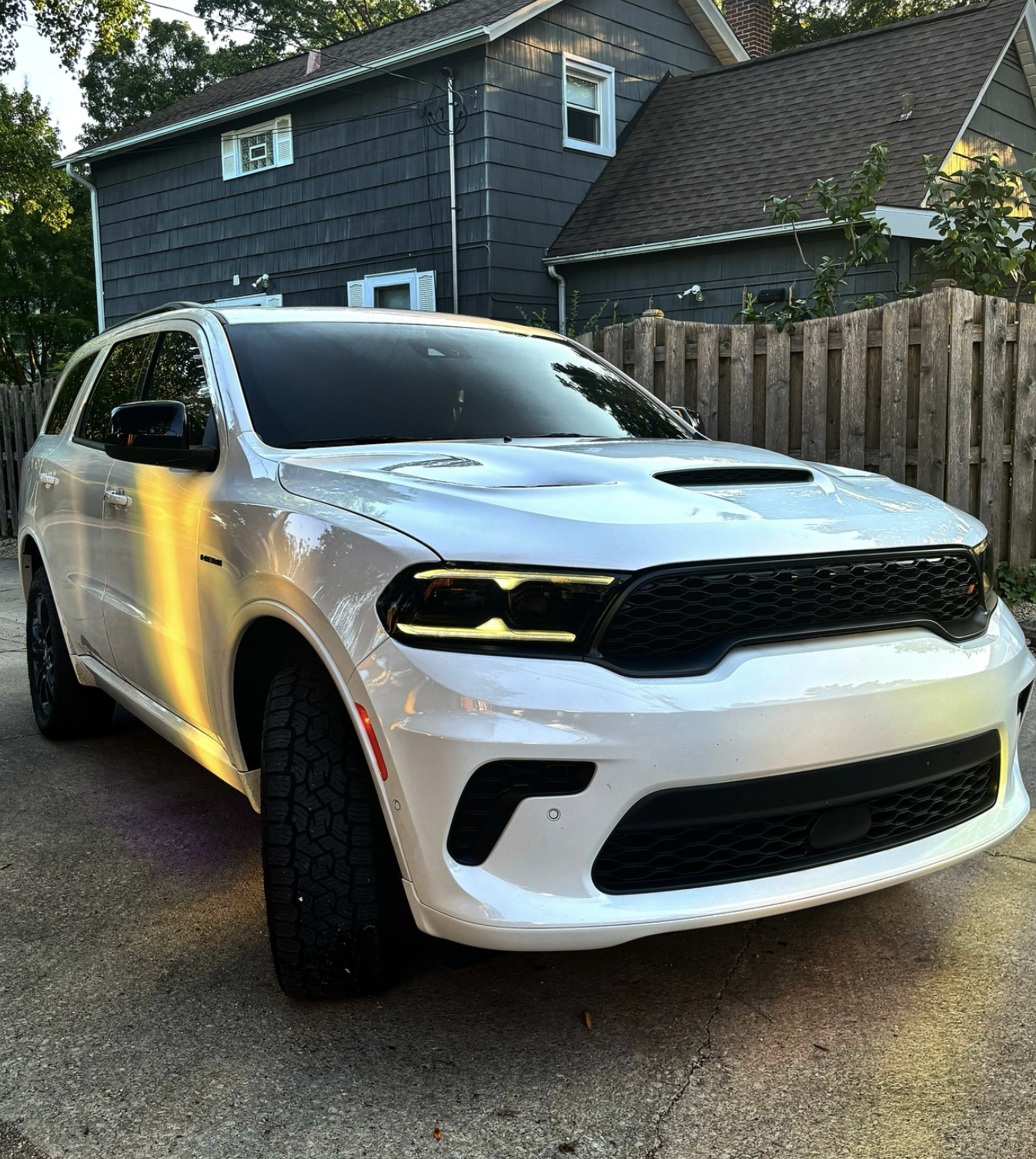 ceramic window tint showcase